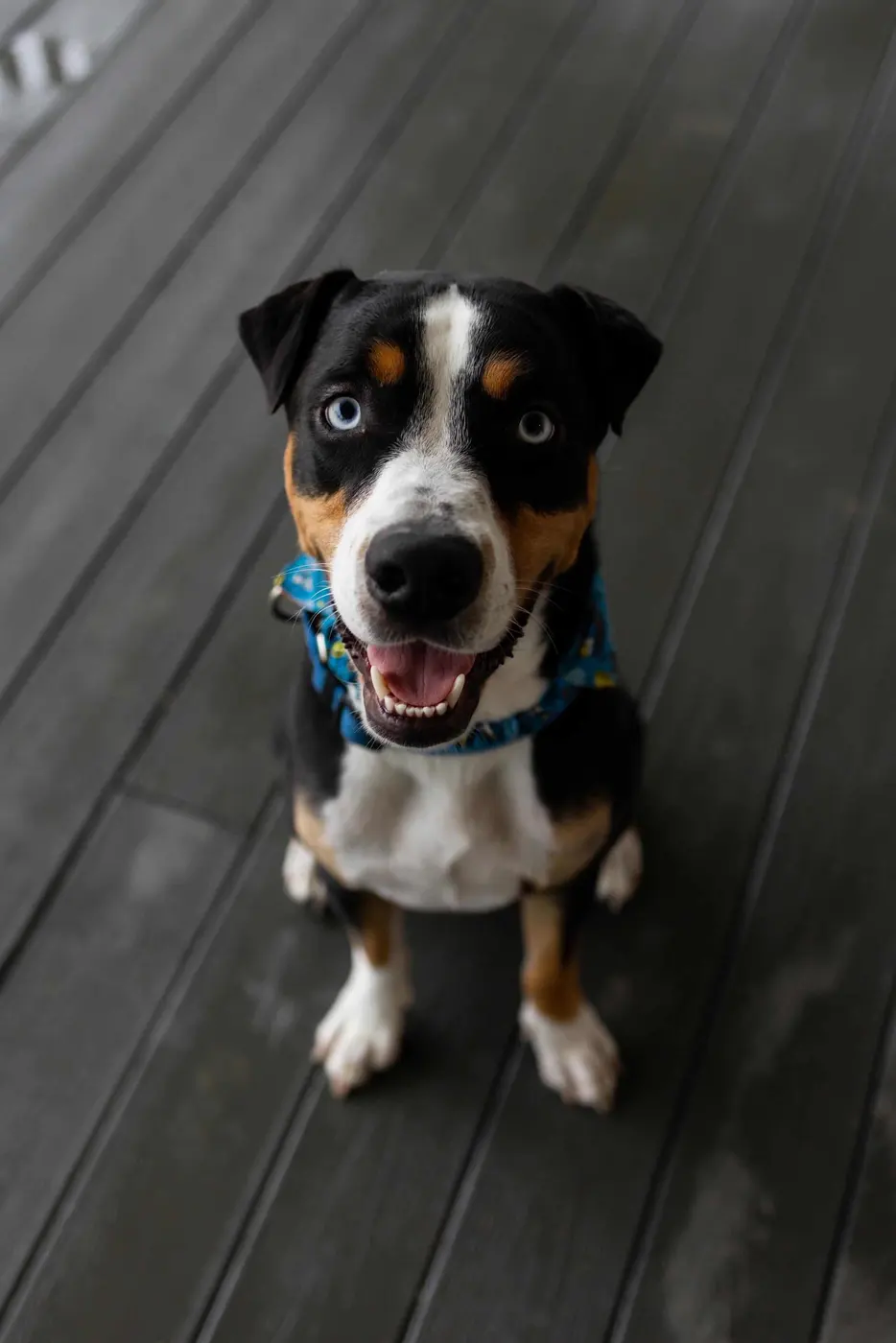 Roman with striking blue eyes looking up