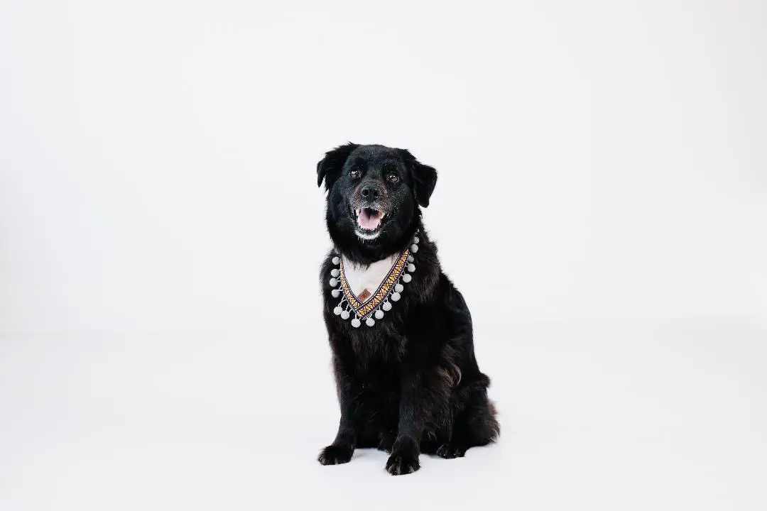 Splash in a studio portrait