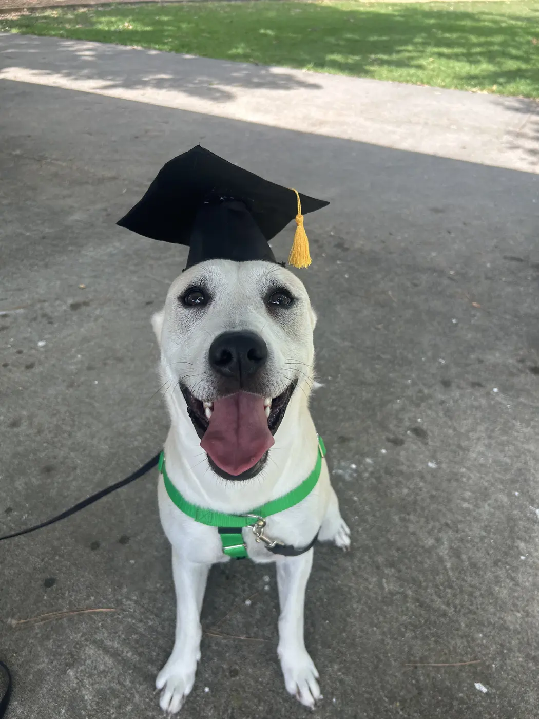Freya wearing a graduation cap
